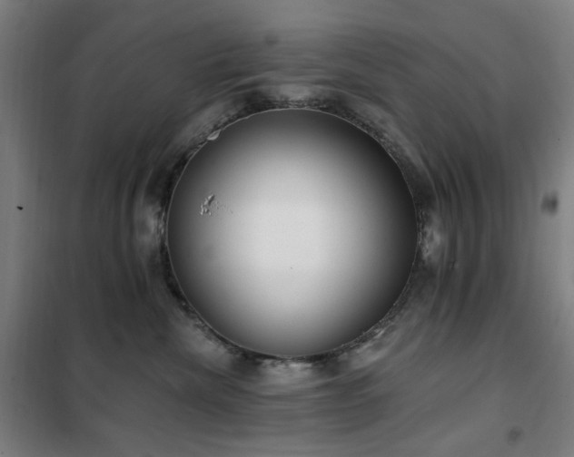 X0000102290476200807251426