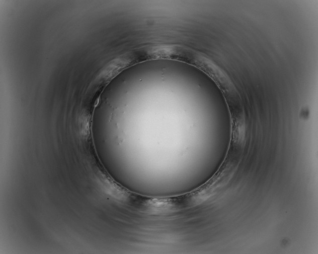 X0000102290477200807251426
