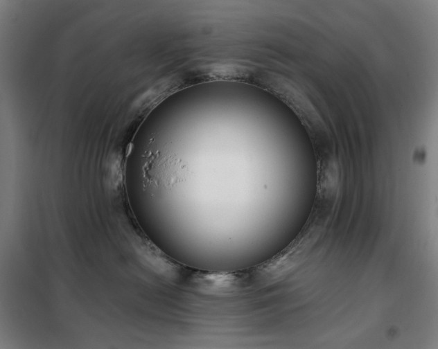 X0000102290478200807251426