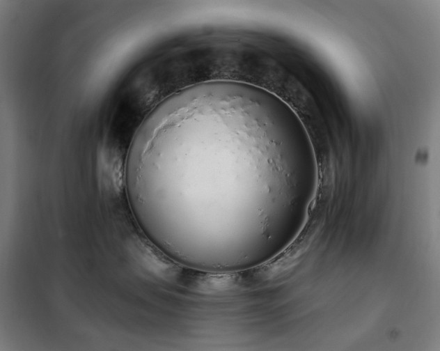 X0000102290479200807251426