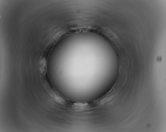 X0000102290480200807251426
