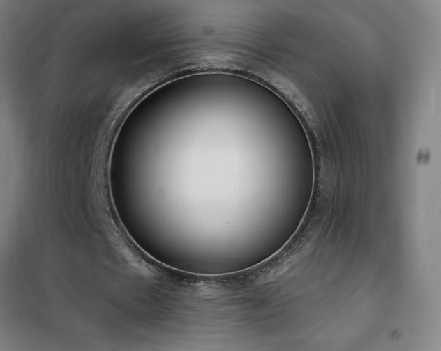 X0000102290481200807251425