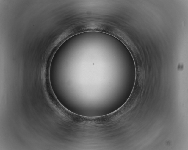 X0000102290482200807251425