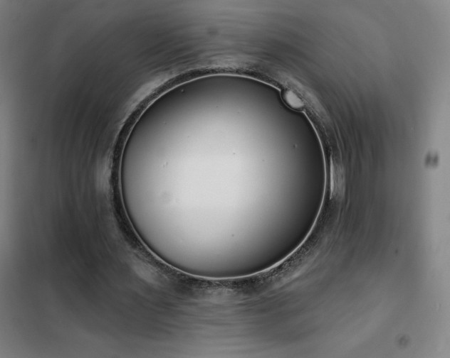 X0000102290483200807251425