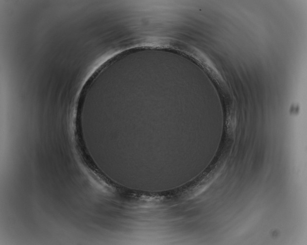 X0000102290484200807251425