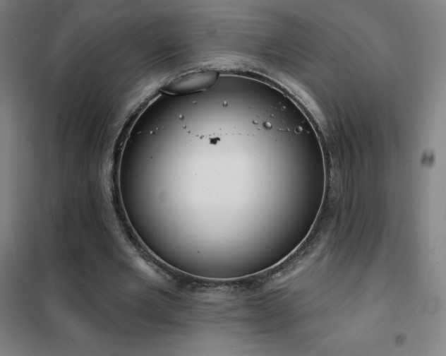 X0000102290485200807251425