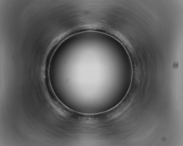 X0000102290486200807251425