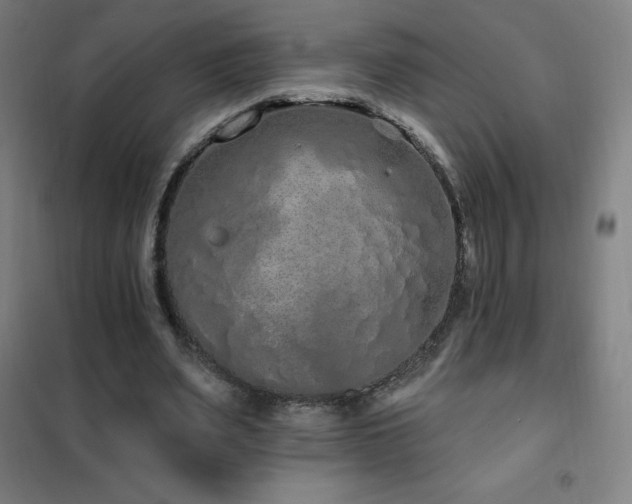 X0000102290487200807251425