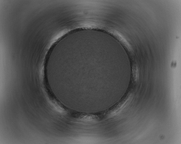 X0000102290488200807251425