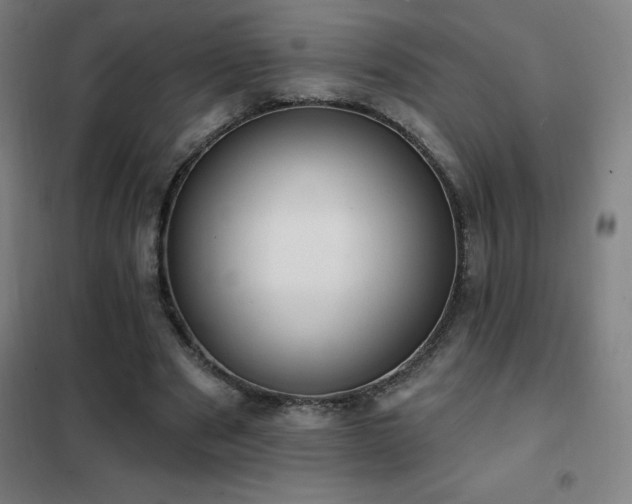 X0000102290489200807251425