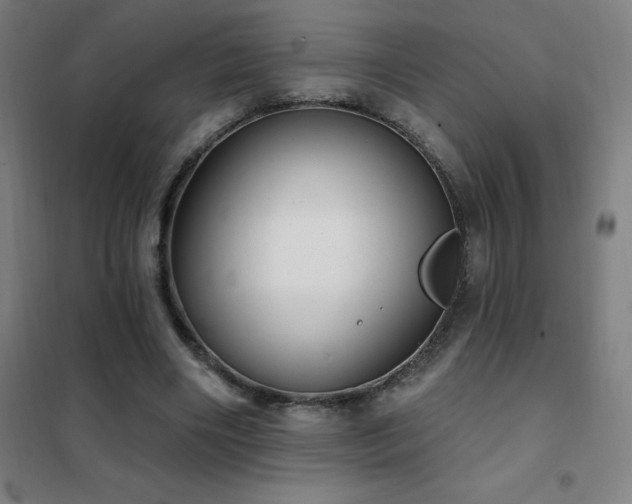 X0000102290490200807251425