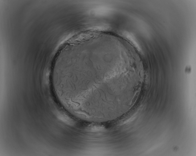 X0000102290491200807251425