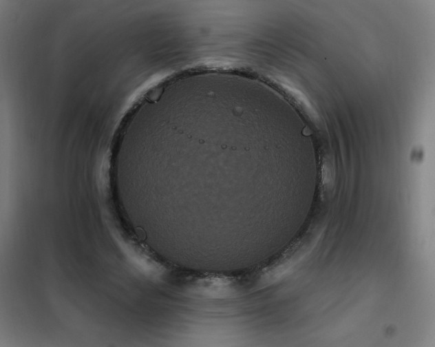 X0000102290492200807251425