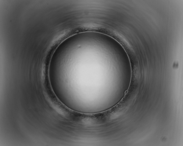 X0000102290494200807251425