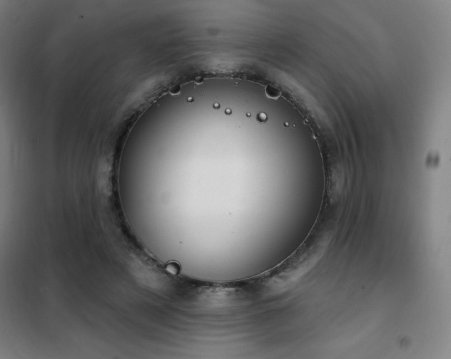 X0000102290497200807251425