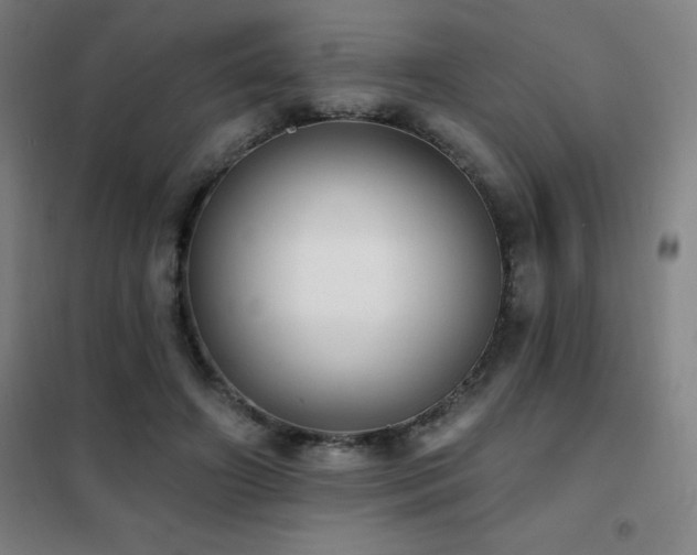 X0000102290498200807251425