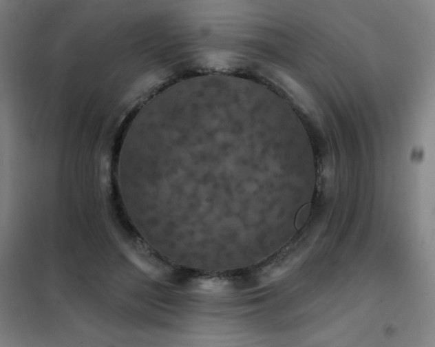 X0000102290500200807251425