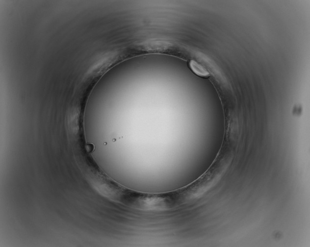 X0000102290501200807251425