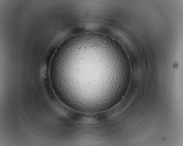 X0000102290502200807251425