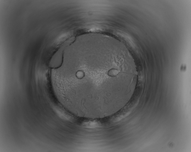 X0000102290503200807251425