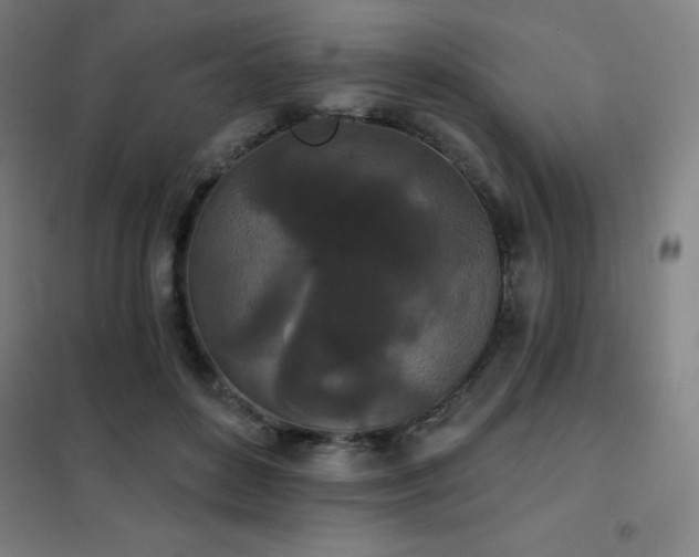 X0000102290504200807251425