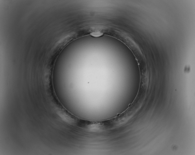 X0000102290505200807251425