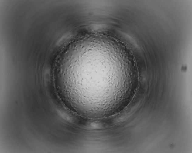 X0000102290506200807251425