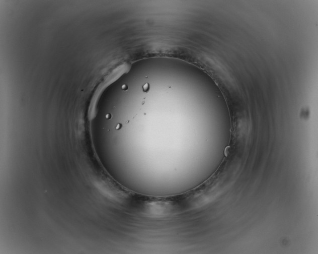 X0000102290508200807251425