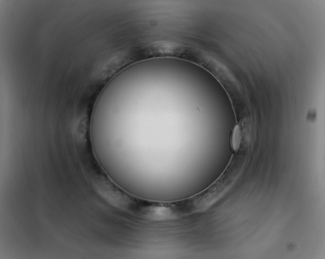 X0000102290509200807251425
