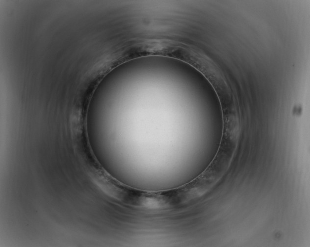 X0000102290510200807251425