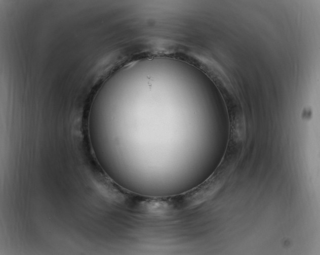 X0000102290512200807251425
