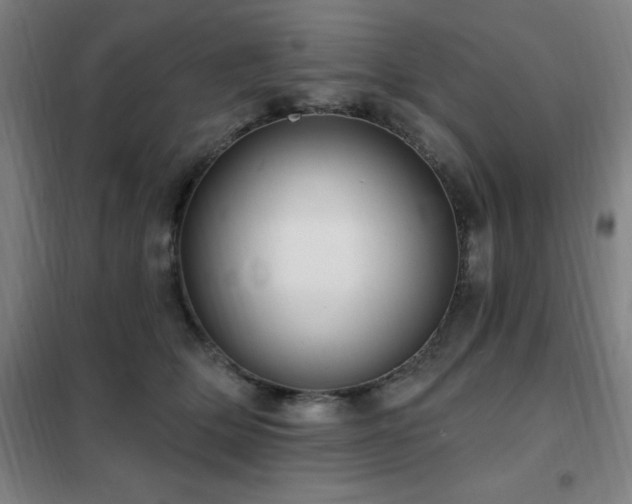 X0000102290514200807251425