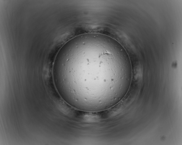 X0000102290515200807251425
