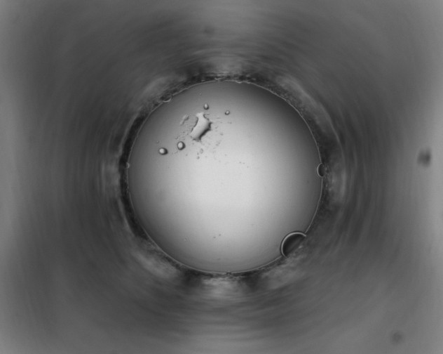 X0000102290516200807251425