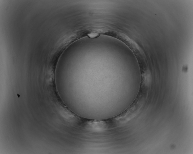 X0000102290517200807251424