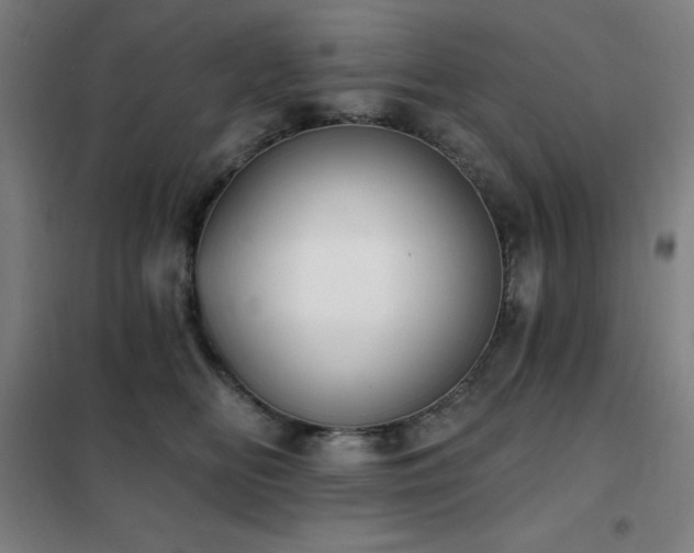 X0000102290518200807251424