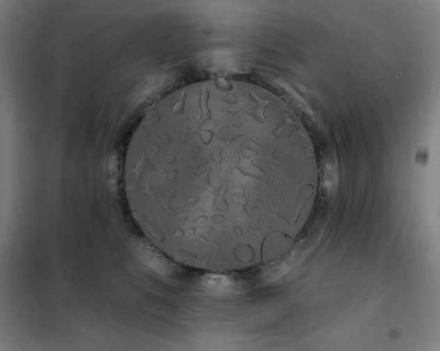 X0000102290519200807251424