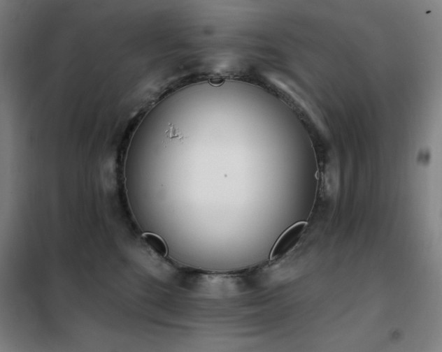 X0000102290520200807251424