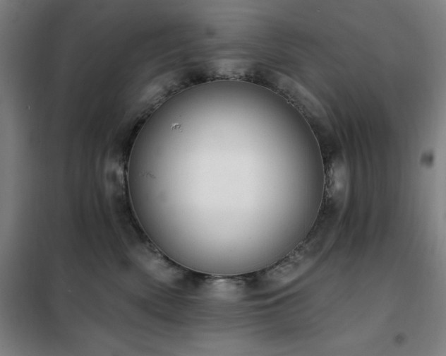 X0000102290522200807251424