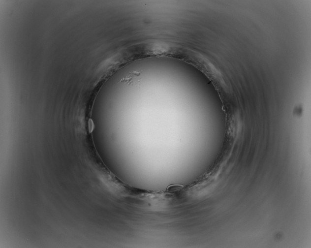 X0000102290524200807251424