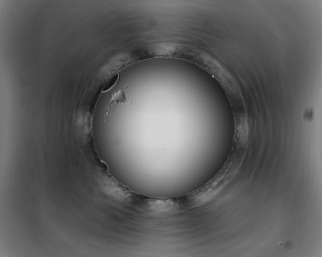X0000102290525200807251424
