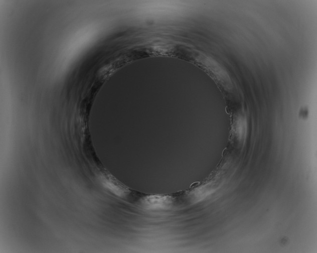 X0000102290526200807251424