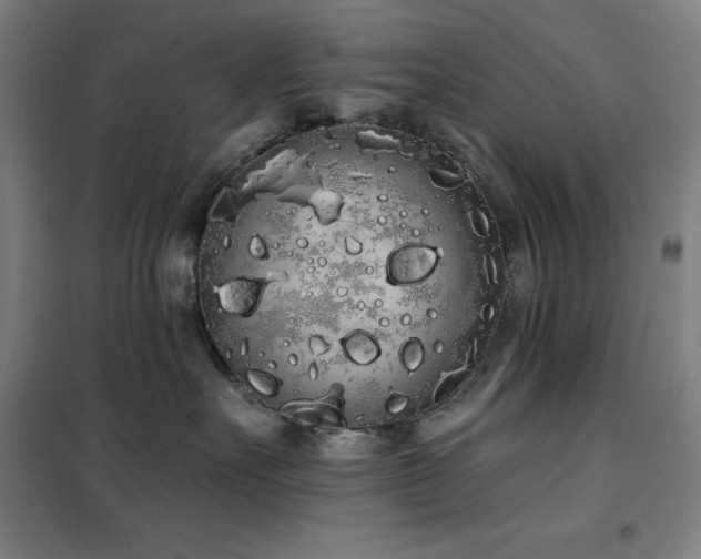 X0000102290527200807251424