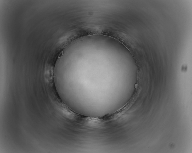 X0000102290528200807251424