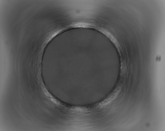 X0000102290529200807251424