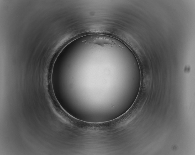 X0000102290530200807251424