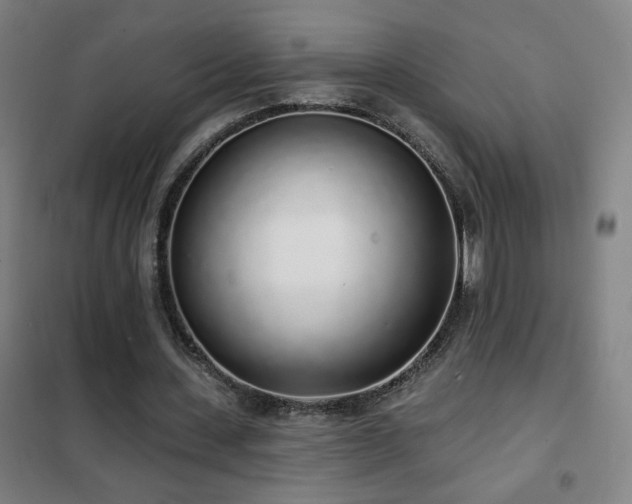 X0000102290531200807251424
