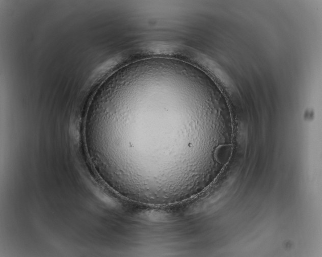 X0000102290537200807251424