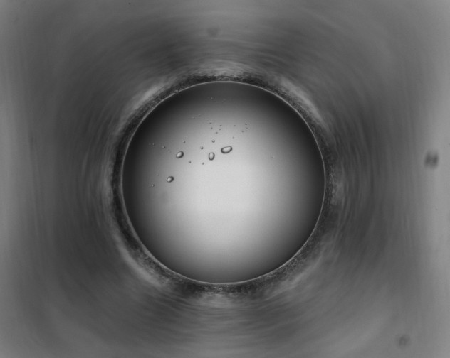 X0000102290538200807251424
