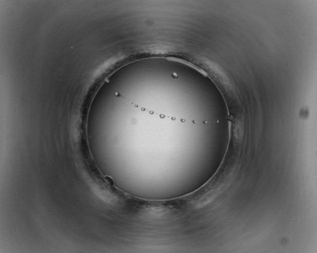 X0000102290540200807251424